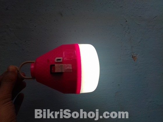 Chargeable LED Light